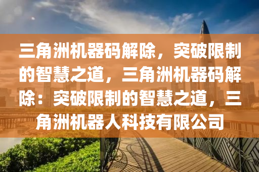 三角洲机器码解除，突破限制的智慧之道，三角洲机器码解除：突破限制的智慧之道，三角洲机器人科技有限公司