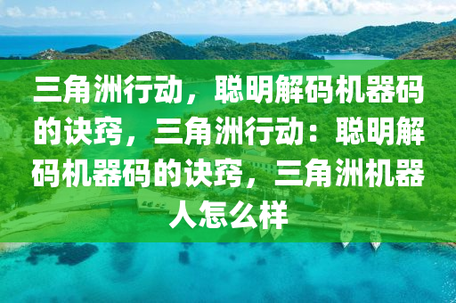 三角洲行动，聪明解码机器码的诀窍，三角洲行动：聪明解码机器码的诀窍，三角洲机器人怎么样