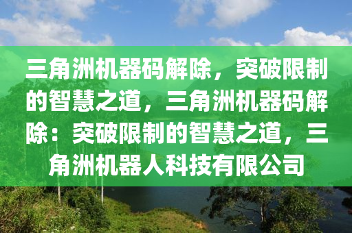 三角洲机器码解除，突破限制的智慧之道，三角洲机器码解除：突破限制的智慧之道，三角洲机器人科技有限公司