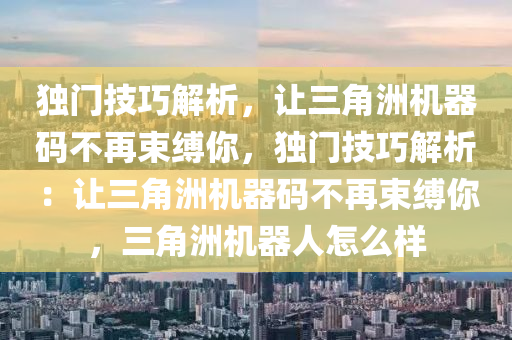 独门技巧解析，让三角洲机器码不再束缚你，独门技巧解析：让三角洲机器码不再束缚你，三角洲机器人怎么样