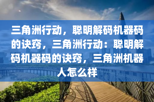 三角洲行动，聪明解码机器码的诀窍，三角洲行动：聪明解码机器码的诀窍，三角洲机器人怎么样