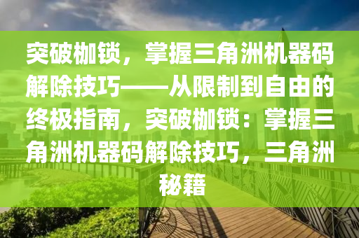 突破枷锁，掌握三角洲机器码解除技巧——从限制到自由的终极指南，突破枷锁：掌握三角洲机器码解除技巧，三角洲 秘籍