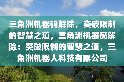 三角洲机器码解除，突破限制的智慧之道，三角洲机器码解除：突破限制的智慧之道，三角洲机器人科技有限公司