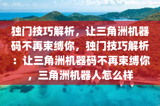独门技巧解析，让三角洲机器码不再束缚你，独门技巧解析：让三角洲机器码不再束缚你，三角洲机器人怎么样