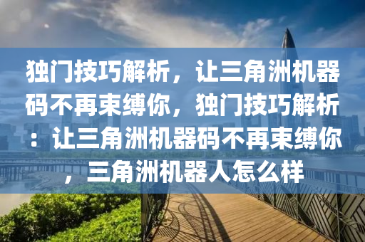 独门技巧解析，让三角洲机器码不再束缚你，独门技巧解析：让三角洲机器码不再束缚你，三角洲机器人怎么样
