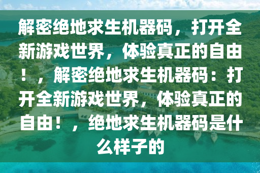 解密绝地求生机器码，打开全新游戏世界，体验真正的自由！，解密绝地求生机器码：打开全新游戏世界，体验真正的自由！，绝地求生机器码是什么样子的
