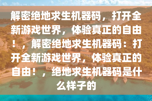 解密绝地求生机器码，打开全新游戏世界，体验真正的自由！，解密绝地求生机器码：打开全新游戏世界，体验真正的自由！，绝地求生机器码是什么样子的