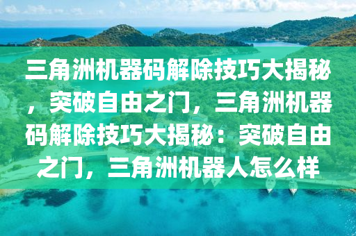 三角洲机器码解除技巧大揭秘，突破自由之门，三角洲机器码解除技巧大揭秘：突破自由之门，三角洲机器人怎么样