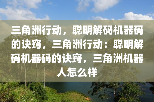三角洲行动，聪明解码机器码的诀窍，三角洲行动：聪明解码机器码的诀窍，三角洲机器人怎么样