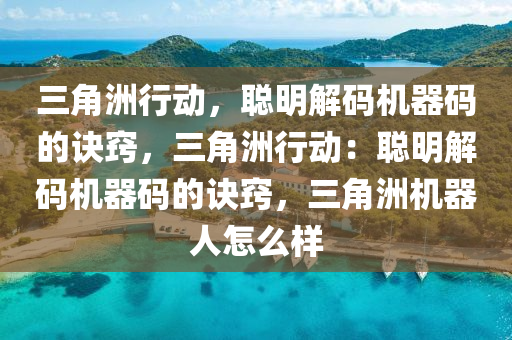 三角洲行动，聪明解码机器码的诀窍，三角洲行动：聪明解码机器码的诀窍，三角洲机器人怎么样