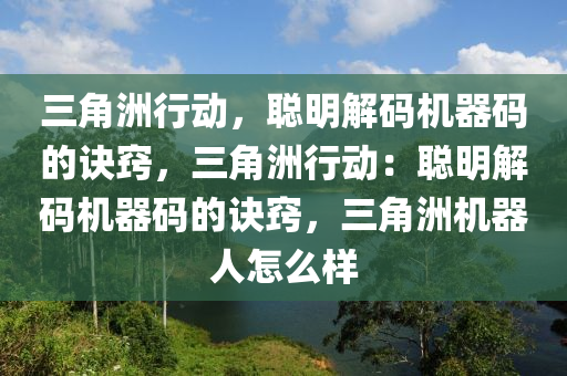 三角洲行动，聪明解码机器码的诀窍，三角洲行动：聪明解码机器码的诀窍，三角洲机器人怎么样