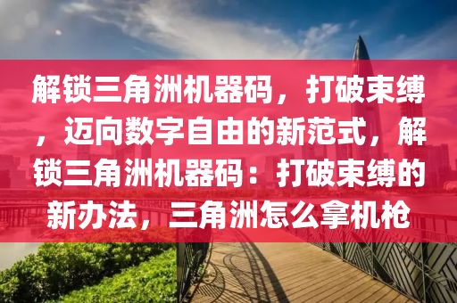解锁三角洲机器码，打破束缚，迈向数字自由的新范式，解锁三角洲机器码：打破束缚的新办法，三角洲怎么拿机枪