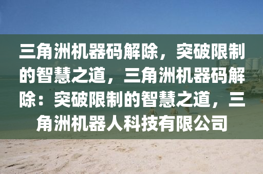 三角洲机器码解除，突破限制的智慧之道，三角洲机器码解除：突破限制的智慧之道，三角洲机器人科技有限公司