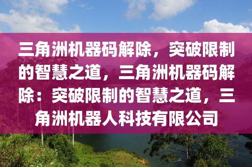 三角洲机器码解除，突破限制的智慧之道，三角洲机器码解除：突破限制的智慧之道，三角洲机器人科技有限公司
