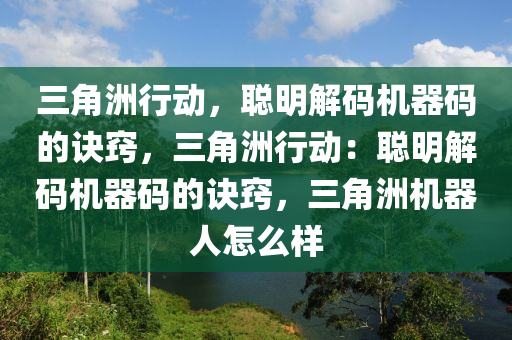 三角洲行动，聪明解码机器码的诀窍，三角洲行动：聪明解码机器码的诀窍，三角洲机器人怎么样