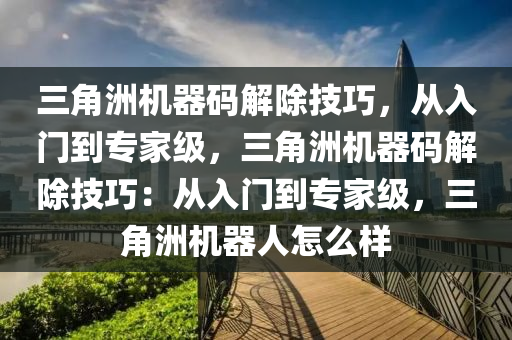 三角洲机器码解除技巧，从入门到专家级，三角洲机器码解除技巧：从入门到专家级，三角洲机器人怎么样