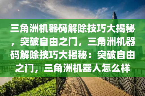 三角洲机器码解除技巧大揭秘，突破自由之门，三角洲机器码解除技巧大揭秘：突破自由之门，三角洲机器人怎么样