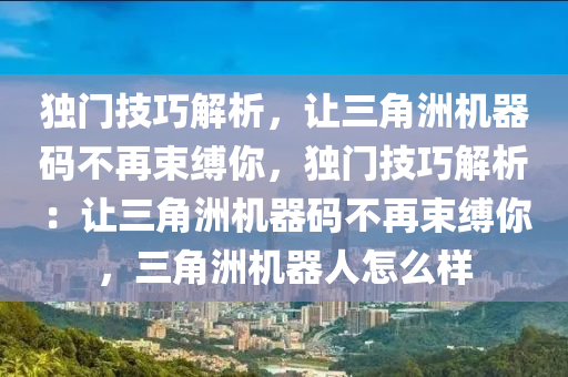 独门技巧解析，让三角洲机器码不再束缚你，独门技巧解析：让三角洲机器码不再束缚你，三角洲机器人怎么样