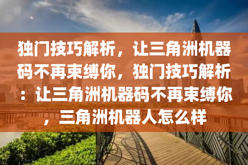 独门技巧解析，让三角洲机器码不再束缚你，独门技巧解析：让三角洲机器码不再束缚你，三角洲机器人怎么样