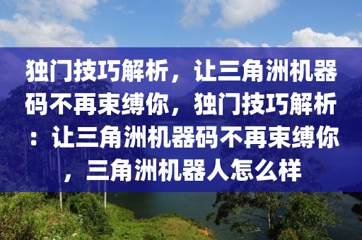 独门技巧解析，让三角洲机器码不再束缚你，独门技巧解析：让三角洲机器码不再束缚你，三角洲机器人怎么样