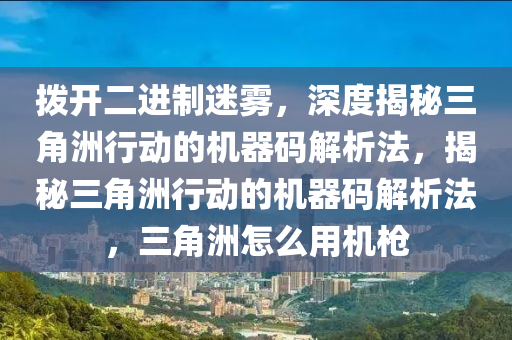 拨开二进制迷雾，深度揭秘三角洲行动的机器码解析法，揭秘三角洲行动的机器码解析法，三角洲怎么用机枪