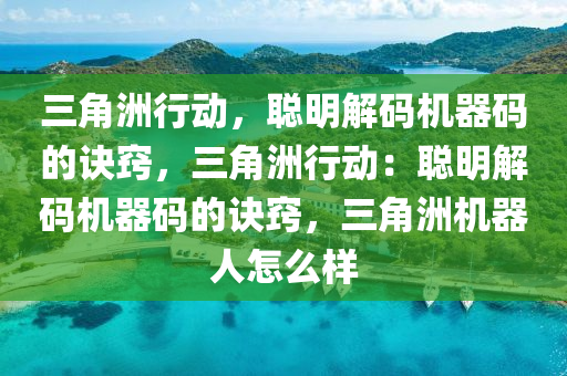 三角洲行动，聪明解码机器码的诀窍，三角洲行动：聪明解码机器码的诀窍，三角洲机器人怎么样