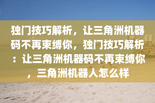 独门技巧解析，让三角洲机器码不再束缚你，独门技巧解析：让三角洲机器码不再束缚你，三角洲机器人怎么样