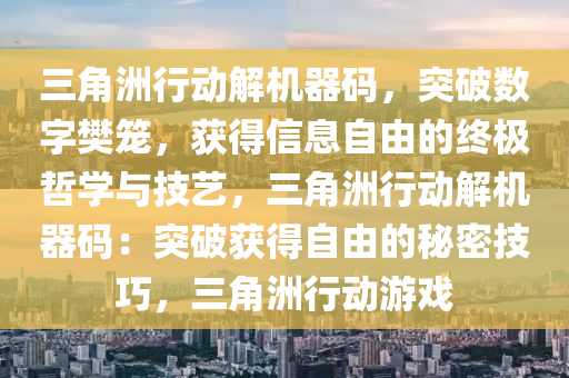 三角洲行动解机器码，突破数字樊笼，获得信息自由的终极哲学与技艺，三角洲行动解机器码：突破获得自由的秘密技巧，三角洲行动游戏