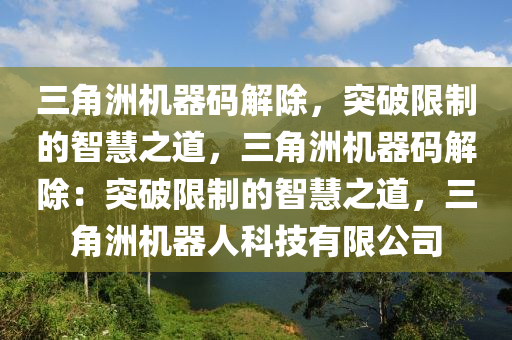 三角洲机器码解除，突破限制的智慧之道，三角洲机器码解除：突破限制的智慧之道，三角洲机器人科技有限公司
