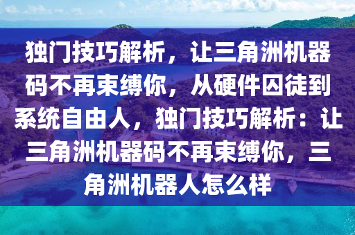 独门技巧解析，让三角洲机器码不再束缚你，从硬件囚徒到系统自由人，独门技巧解析：让三角洲机器码不再束缚你，三角洲机器人怎么样