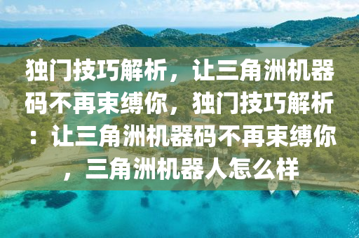 独门技巧解析，让三角洲机器码不再束缚你，独门技巧解析：让三角洲机器码不再束缚你，三角洲机器人怎么样