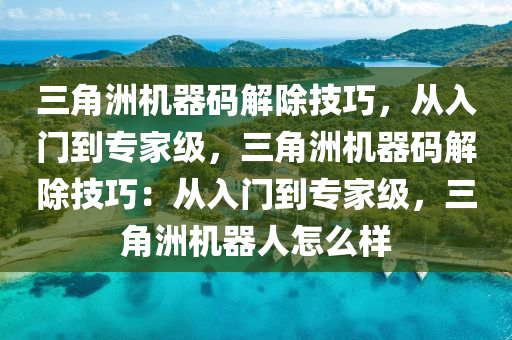 三角洲机器码解除技巧，从入门到专家级，三角洲机器码解除技巧：从入门到专家级，三角洲机器人怎么样