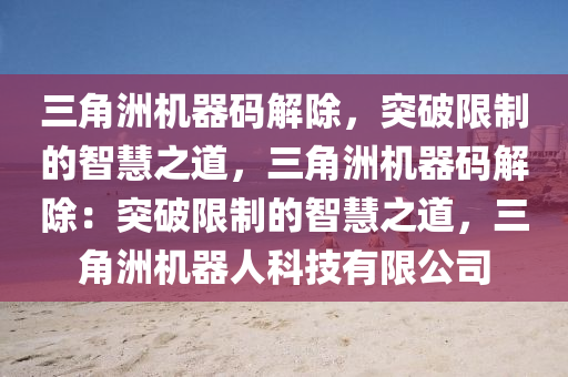 三角洲机器码解除，突破限制的智慧之道，三角洲机器码解除：突破限制的智慧之道，三角洲机器人科技有限公司