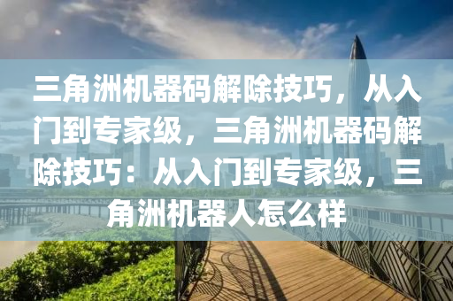三角洲机器码解除技巧，从入门到专家级，三角洲机器码解除技巧：从入门到专家级，三角洲机器人怎么样