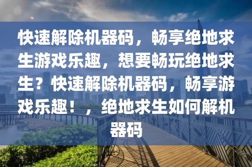 快速解除机器码，畅享绝地求生游戏乐趣，想要畅玩绝地求生？快速解除机器码，畅享游戏乐趣！，绝地求生如何解机器码