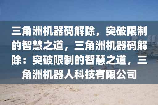 三角洲机器码解除，突破限制的智慧之道，三角洲机器码解除：突破限制的智慧之道，三角洲机器人科技有限公司