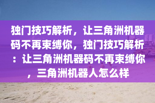 独门技巧解析，让三角洲机器码不再束缚你，独门技巧解析：让三角洲机器码不再束缚你，三角洲机器人怎么样