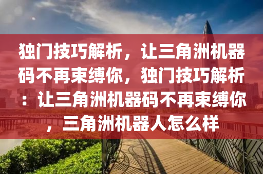 独门技巧解析，让三角洲机器码不再束缚你，独门技巧解析：让三角洲机器码不再束缚你，三角洲机器人怎么样
