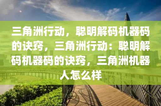 三角洲行动，聪明解码机器码的诀窍，三角洲行动：聪明解码机器码的诀窍，三角洲机器人怎么样