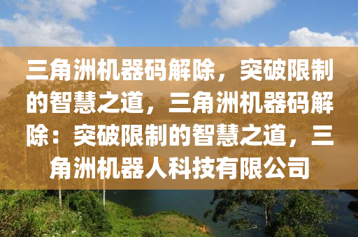 三角洲机器码解除，突破限制的智慧之道，三角洲机器码解除：突破限制的智慧之道，三角洲机器人科技有限公司