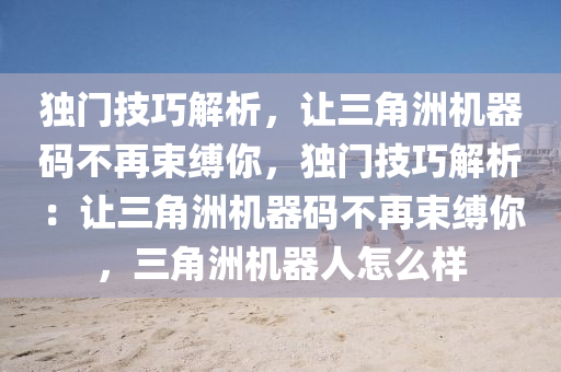 独门技巧解析，让三角洲机器码不再束缚你，独门技巧解析：让三角洲机器码不再束缚你，三角洲机器人怎么样
