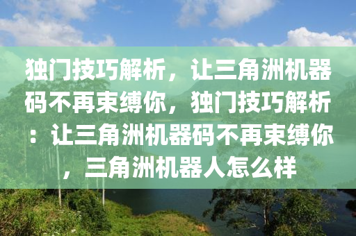 独门技巧解析，让三角洲机器码不再束缚你，独门技巧解析：让三角洲机器码不再束缚你，三角洲机器人怎么样
