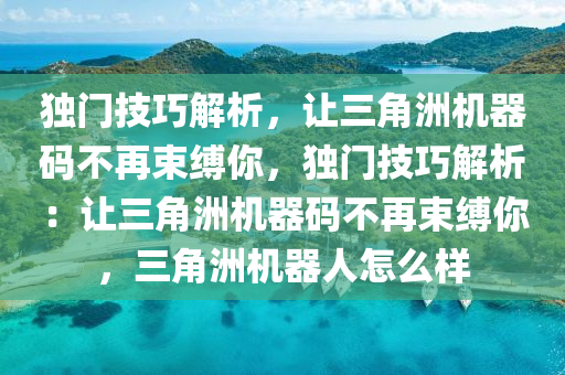 独门技巧解析，让三角洲机器码不再束缚你，独门技巧解析：让三角洲机器码不再束缚你，三角洲机器人怎么样