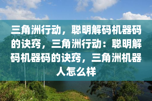 三角洲行动，聪明解码机器码的诀窍，三角洲行动：聪明解码机器码的诀窍，三角洲机器人怎么样