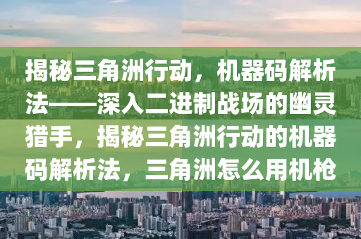 揭秘三角洲行动，机器码解析法——深入二进制战场的幽灵猎手，揭秘三角洲行动的机器码解析法，三角洲怎么用机枪