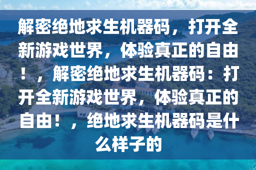 解密绝地求生机器码，打开全新游戏世界，体验真正的自由！，解密绝地求生机器码：打开全新游戏世界，体验真正的自由！，绝地求生机器码是什么样子的