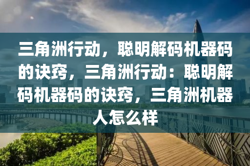 三角洲行动，聪明解码机器码的诀窍，三角洲行动：聪明解码机器码的诀窍，三角洲机器人怎么样