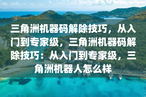 三角洲机器码解除技巧，从入门到专家级，三角洲机器码解除技巧：从入门到专家级，三角洲机器人怎么样