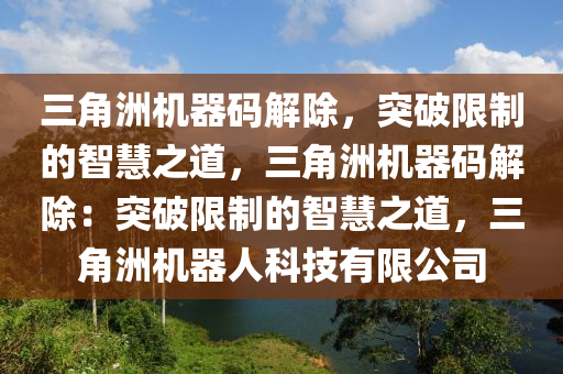 三角洲机器码解除，突破限制的智慧之道，三角洲机器码解除：突破限制的智慧之道，三角洲机器人科技有限公司