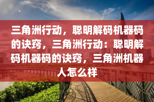三角洲行动，聪明解码机器码的诀窍，三角洲行动：聪明解码机器码的诀窍，三角洲机器人怎么样